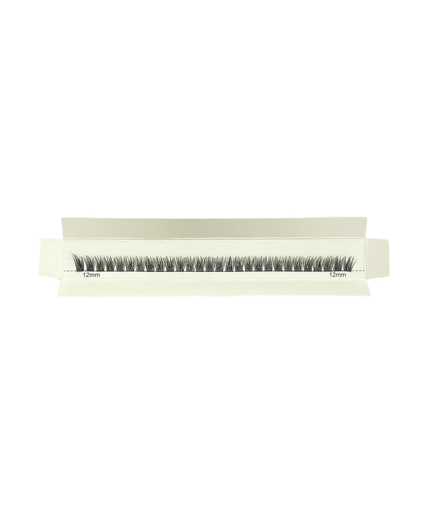 WSL02