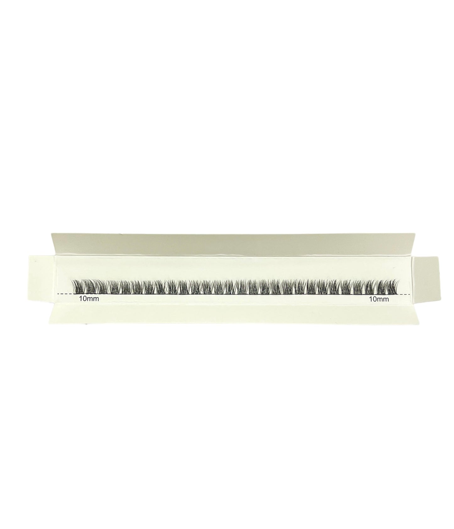 WSL02