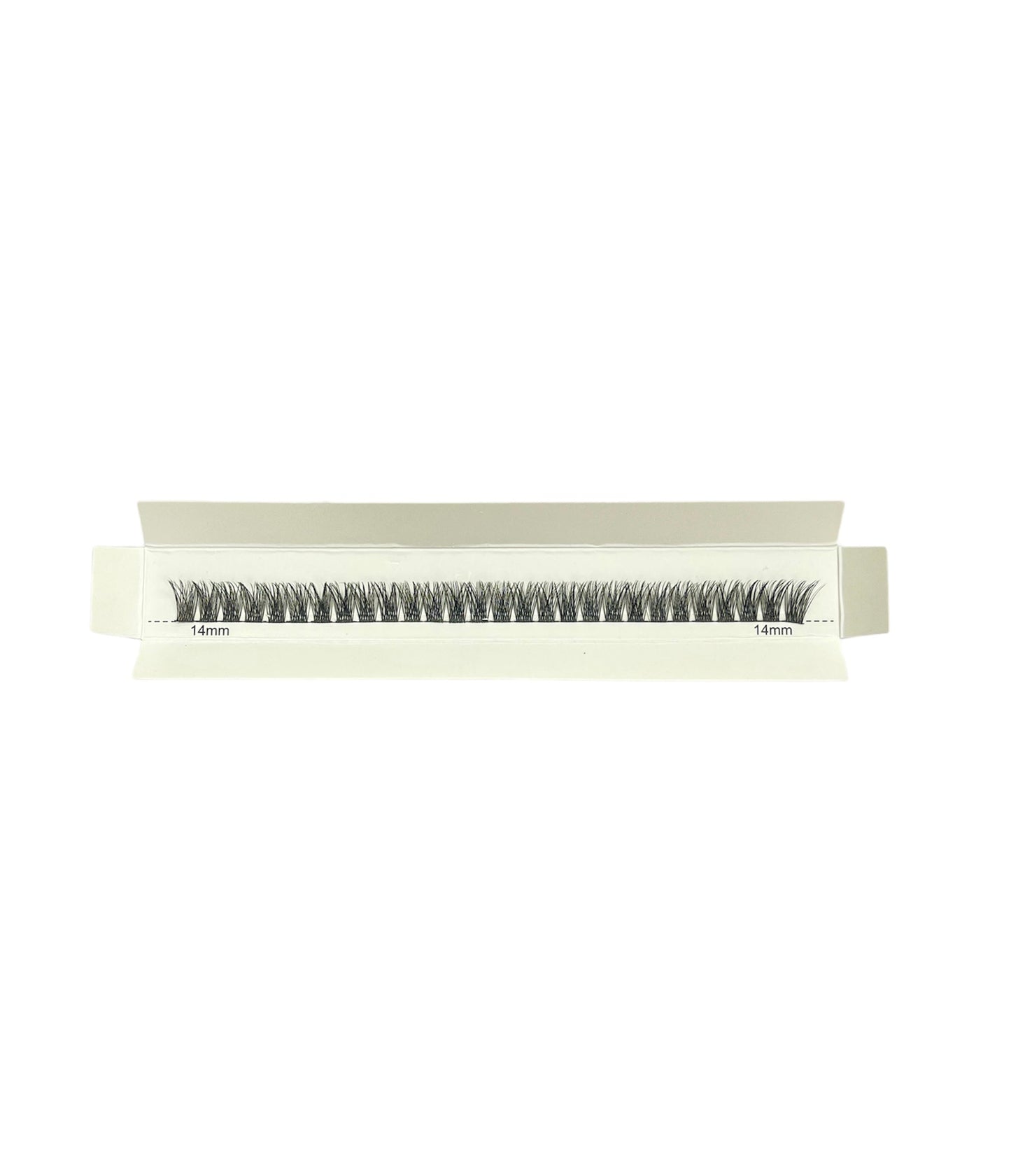 WSL02